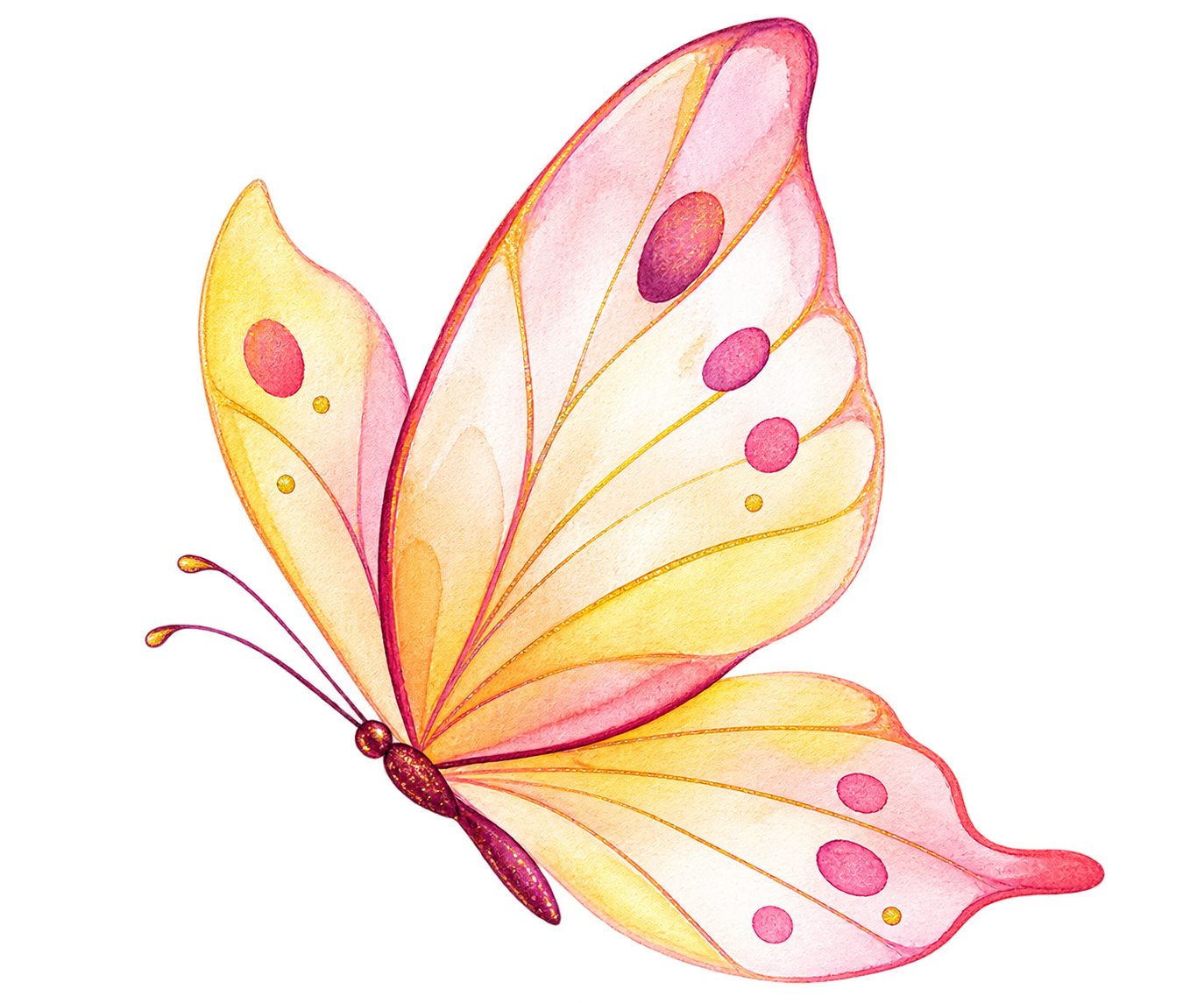Papillon aquarelle, symbole de L’Âme du Regard
